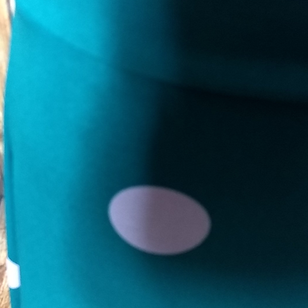 Lularoe Skirt - Picture 2 of 3